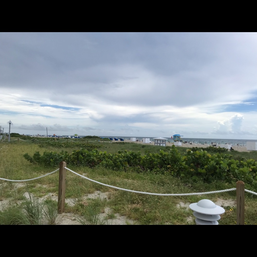 Meet your Posher, Sam